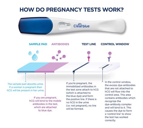 so hard to wait to take pregnancy test|are pregnancy tests safe.